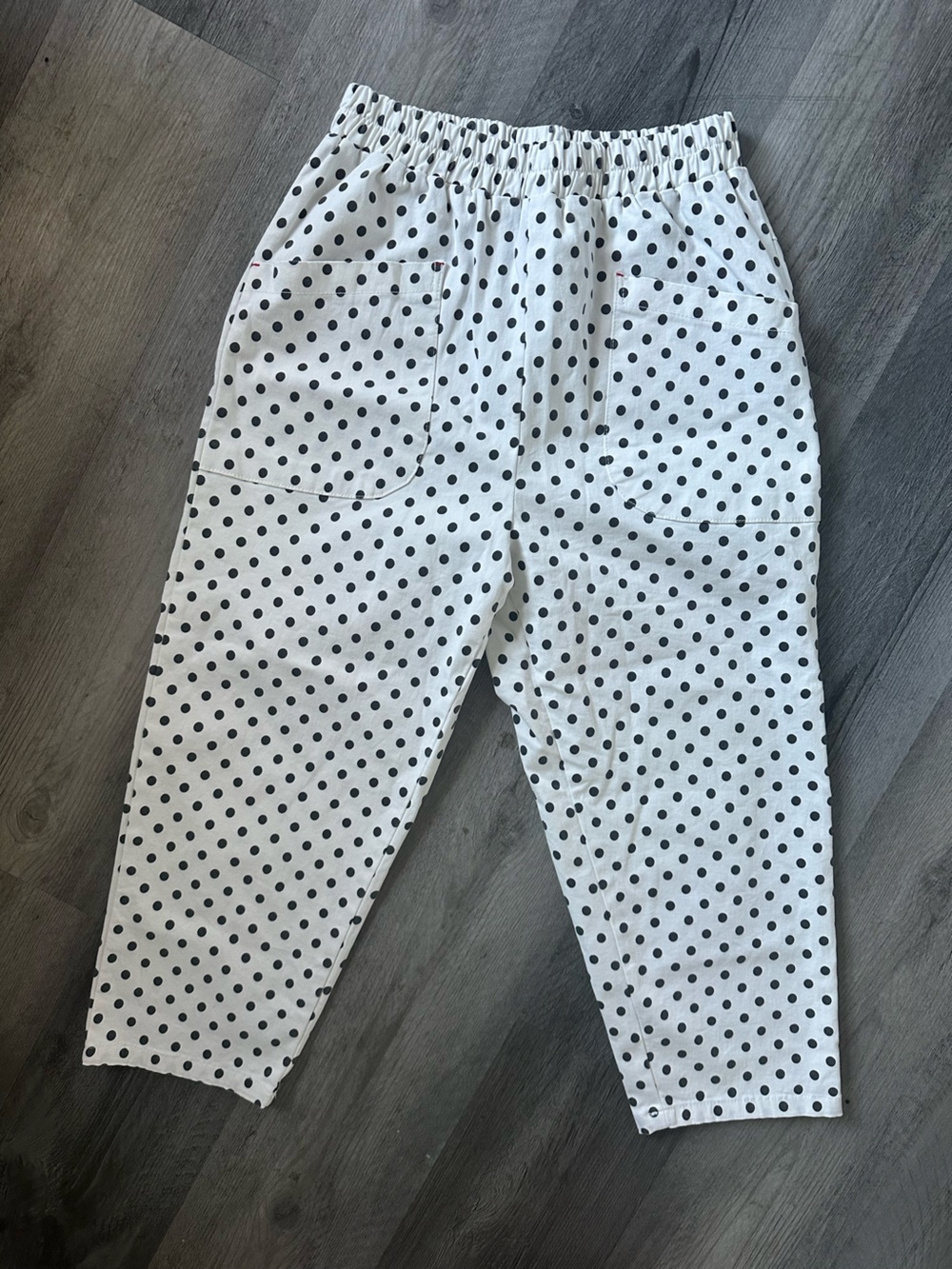 ✨ NWOT Luz White Polka Dot Pants
